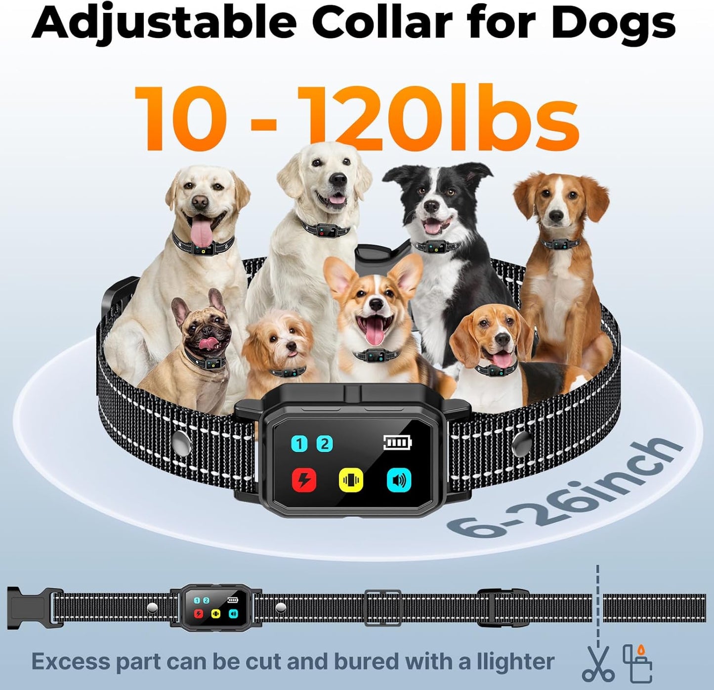 Akubmri Dog Training Collar
