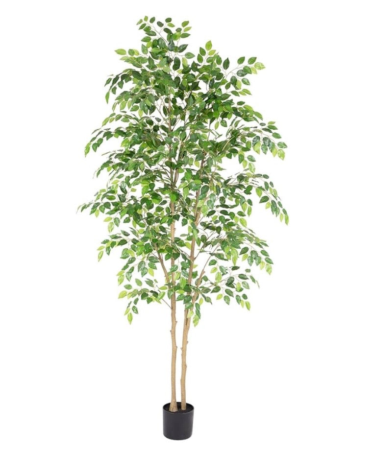 Nafresh 6-Foot Artificial Ficus Tree with Pot