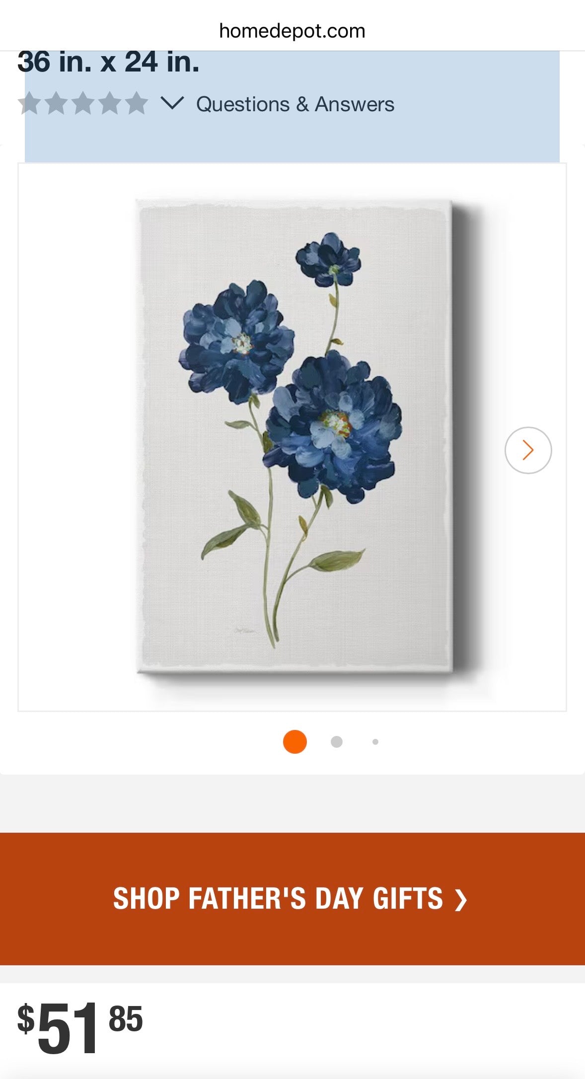 Blue Mums Floral Canvas Wall Art – Green Wood Frame (Set of 2)