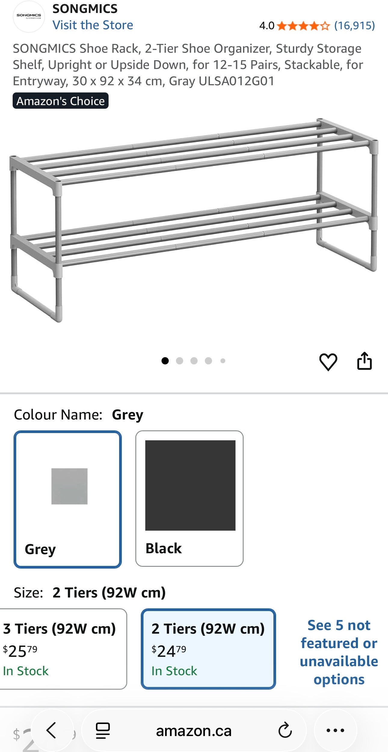 2-Tier Metal Shoe Rack