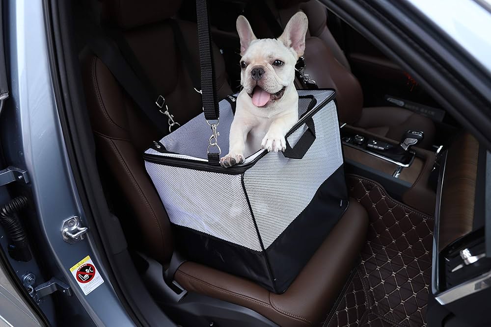 Amazon Basics Soft-Sided Pet Carrier / Car Seat
