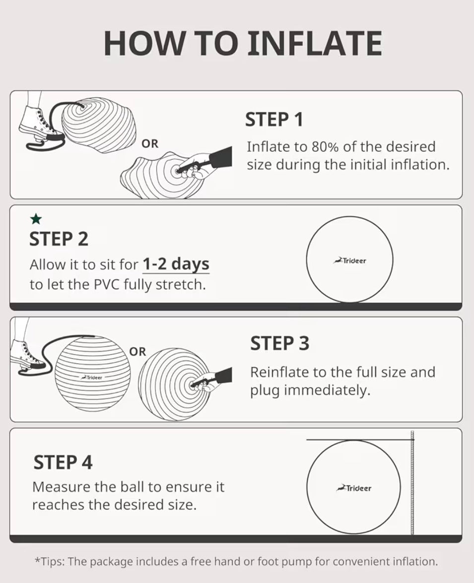 🏷️ Trideer Extra-Thick Anti-Burst Exercise Ball with Pump — 65 cm Yoga & Stability Ball (Black)