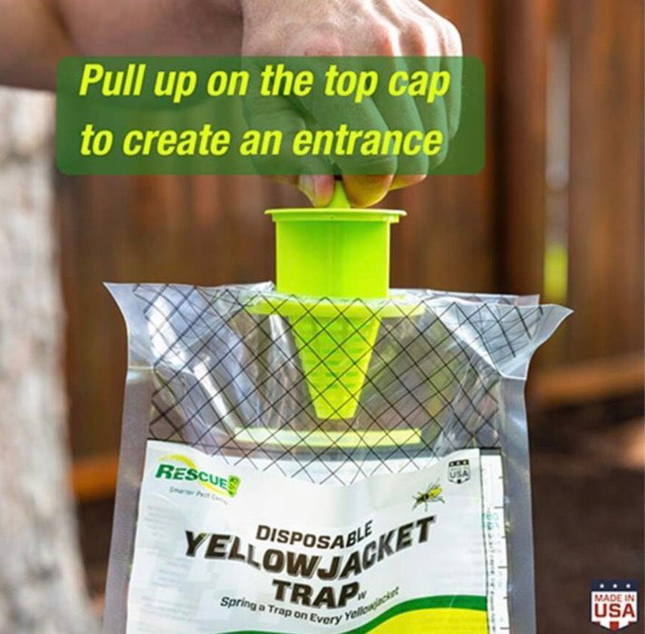 Disposable Yellowjacket Trap – Outdoor Use