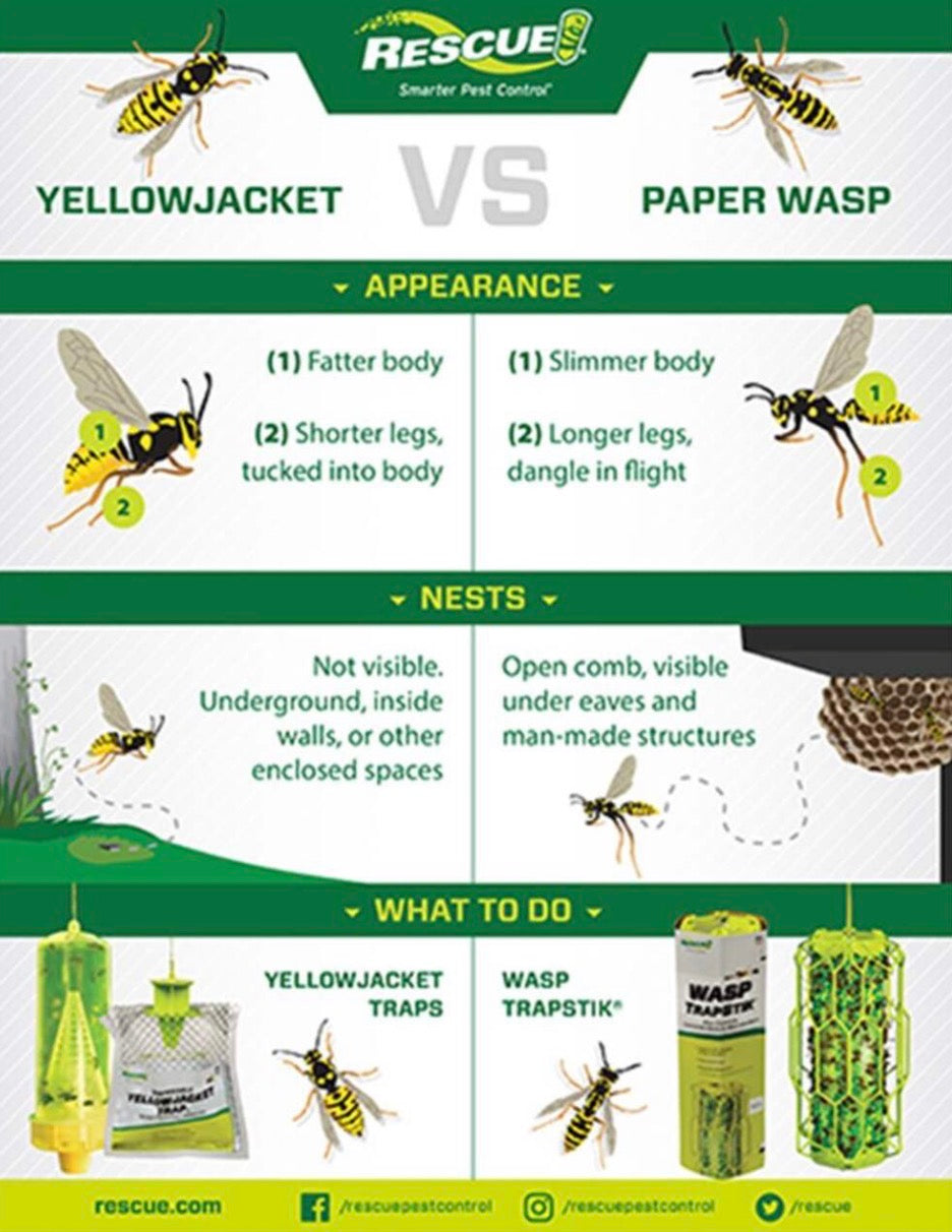 Disposable Yellowjacket Trap – Outdoor Use