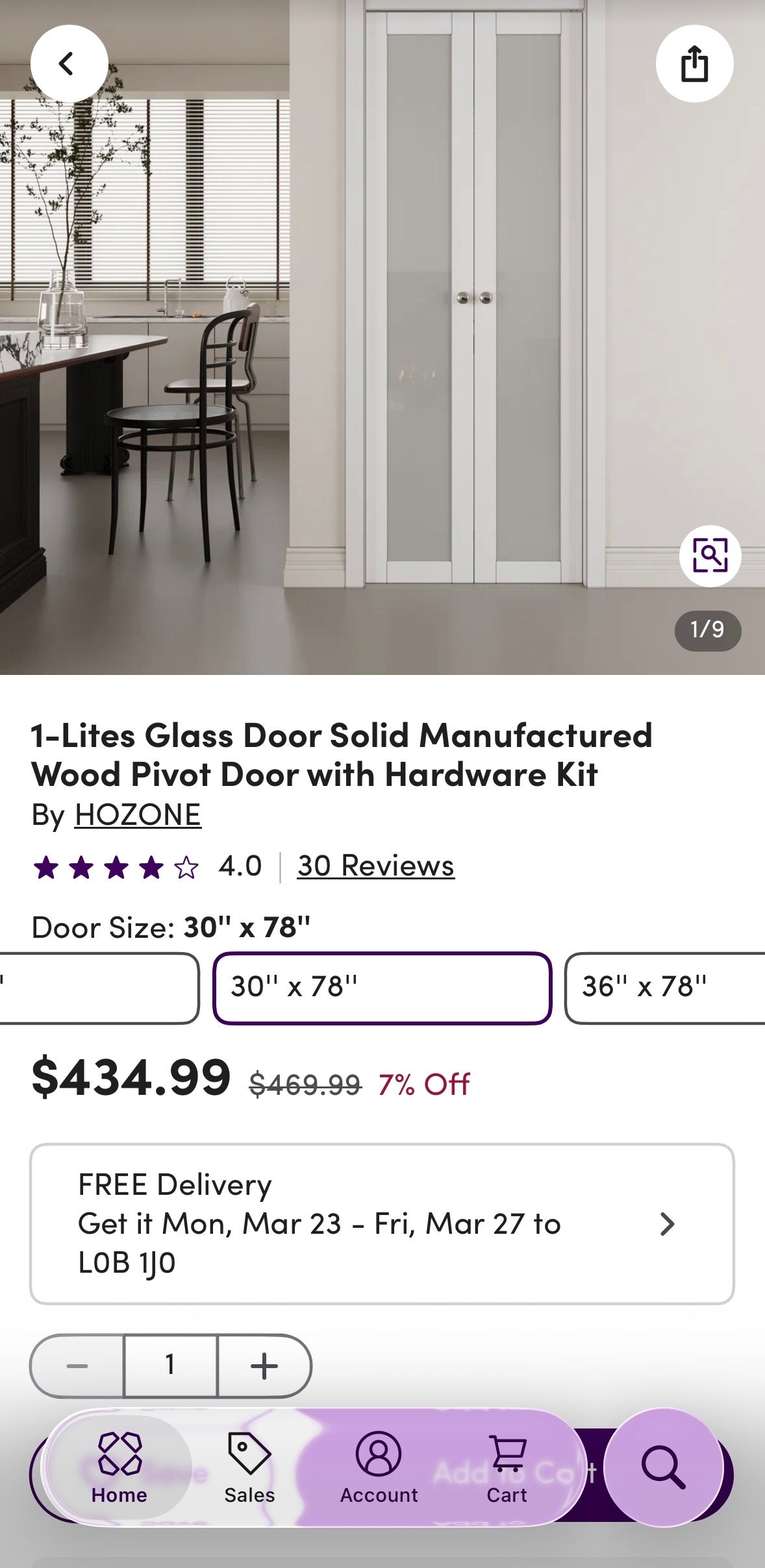 1-Lite Frosted Glass Pivot Door