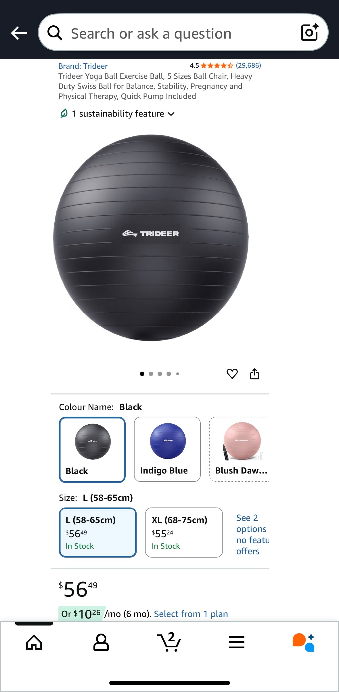 🏷️ Trideer Extra-Thick Anti-Burst Exercise Ball with Pump — 65 cm Yoga & Stability Ball (Black)