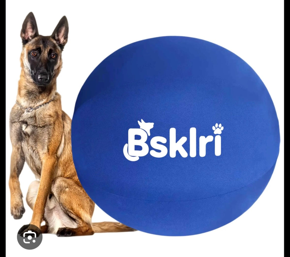 Bsklri Inflatable Herding Ball for Dogs