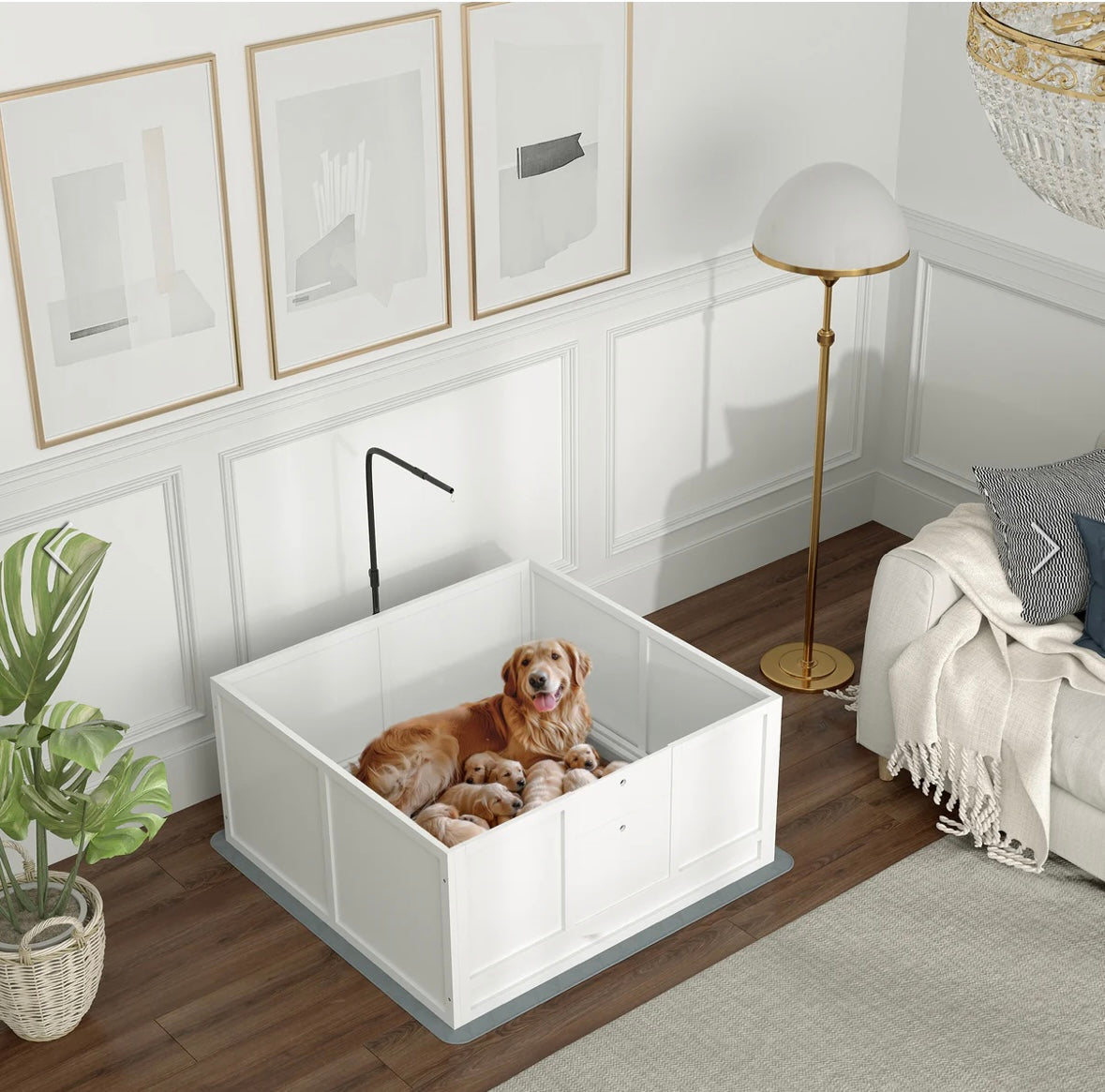 PawHut Whelping Box for Dogs – Adjustable Door, Pig Rail & Non-Slip Pads | Secure Puppy Birthing & Nursing Pen