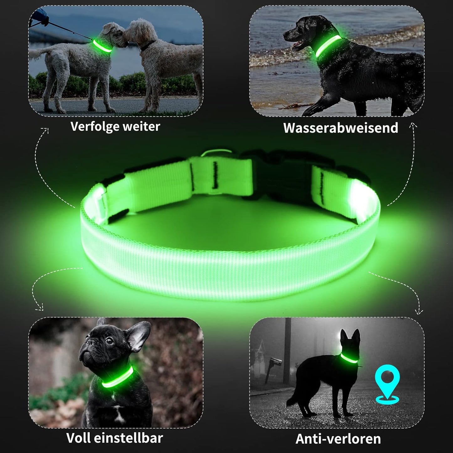 KOSKILL LED Light-Up Dog Collar