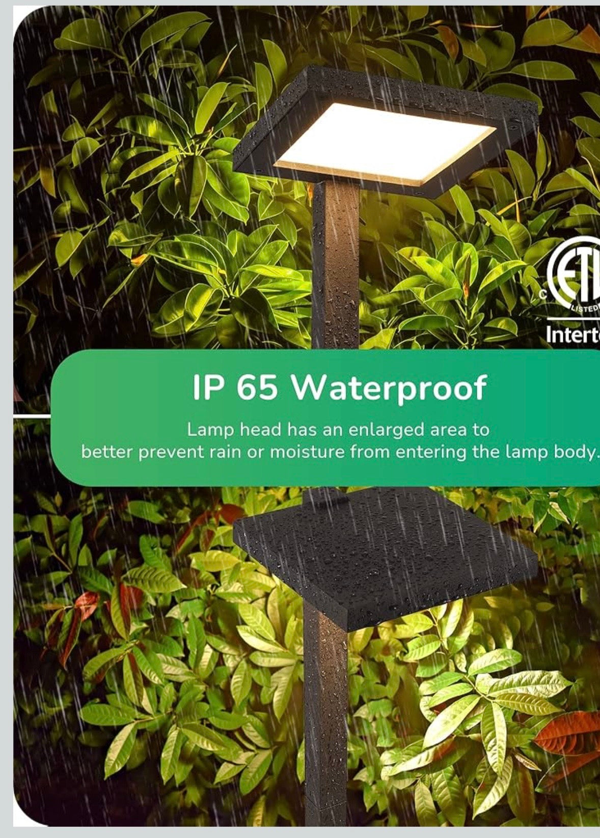 EDISHINE Low Voltage LED Landscape Pathway Light – Black