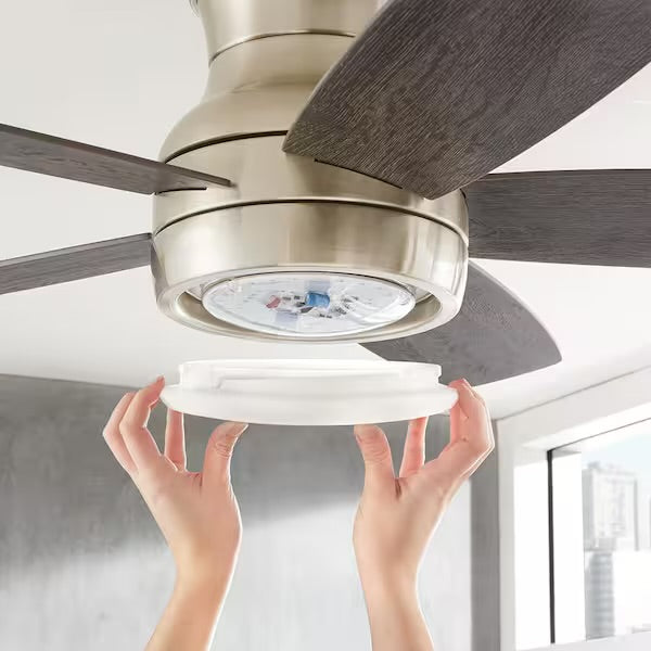 Home Decorators Collection Ashby Park 52” LED Ceiling Fan