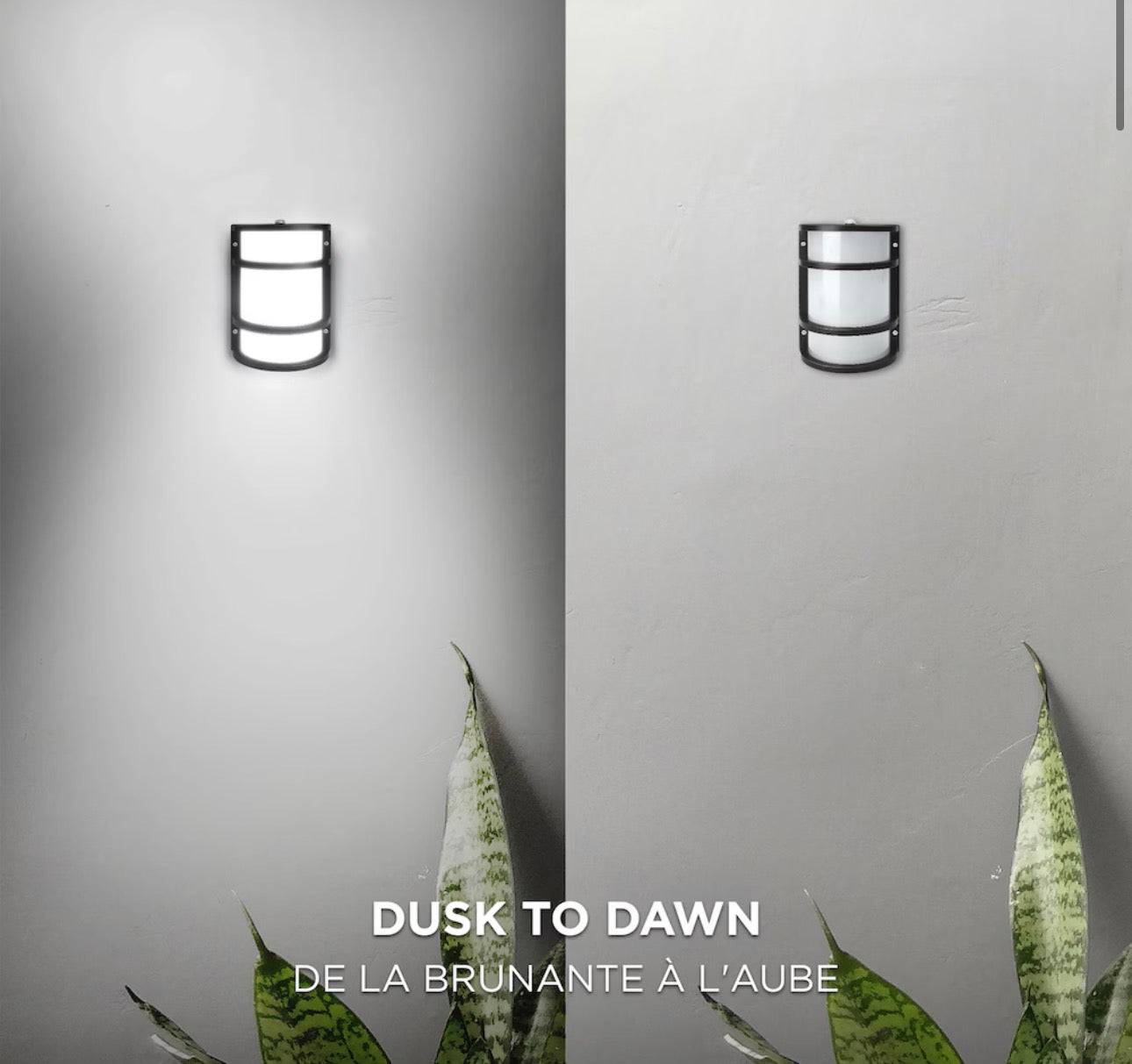Half Moon LED Dusk-to-Dawn Outdoor Wall Light