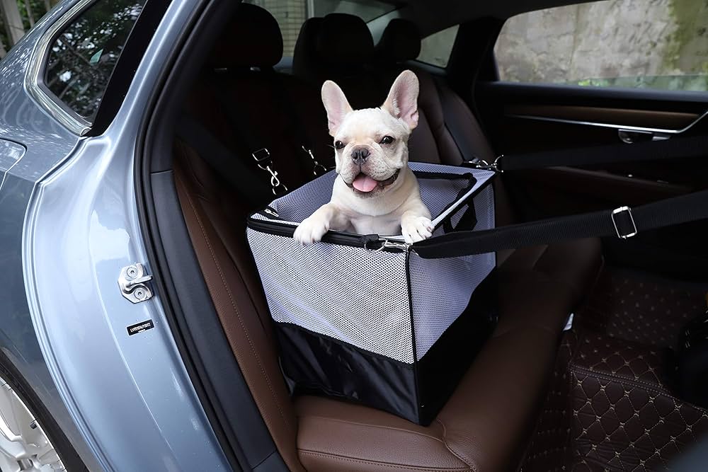 Amazon Basics Soft-Sided Pet Carrier / Car Seat