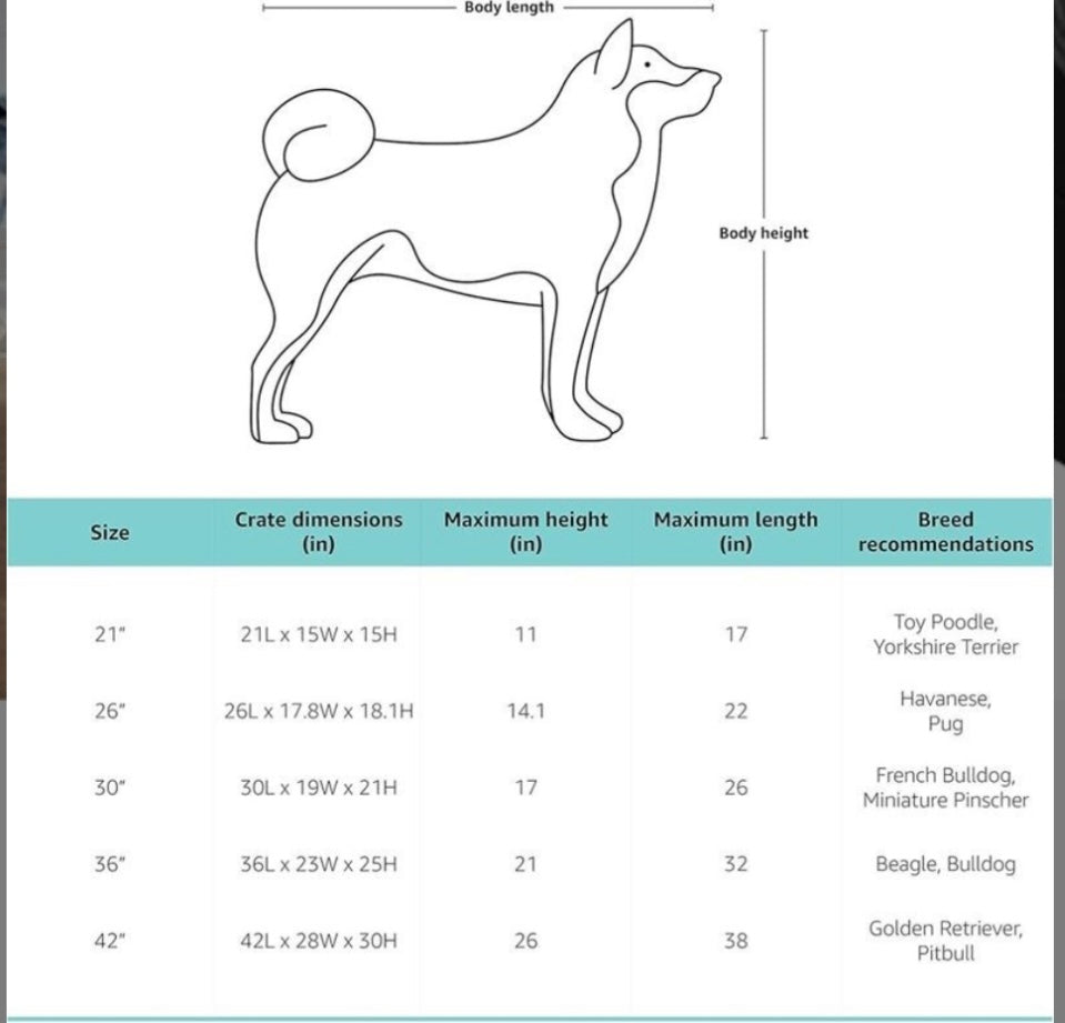 Amazon Basics Premium Folding Portable Soft Pet Dog Crate – 30 Inch (76L x 53W x 53H cm) – Black